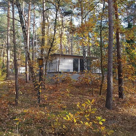 Hausmeise Heidesee 외부 사진